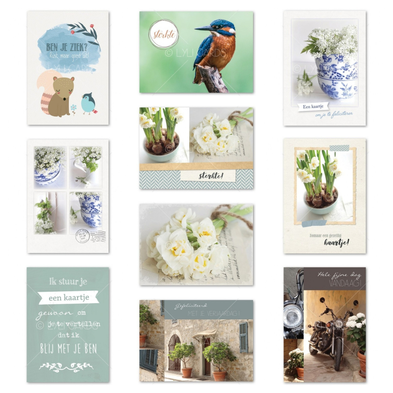 Actieset wenskaarten | 10 stuks | Pastel / groen