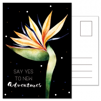 Ansichtkaart | Say yes to new adventures