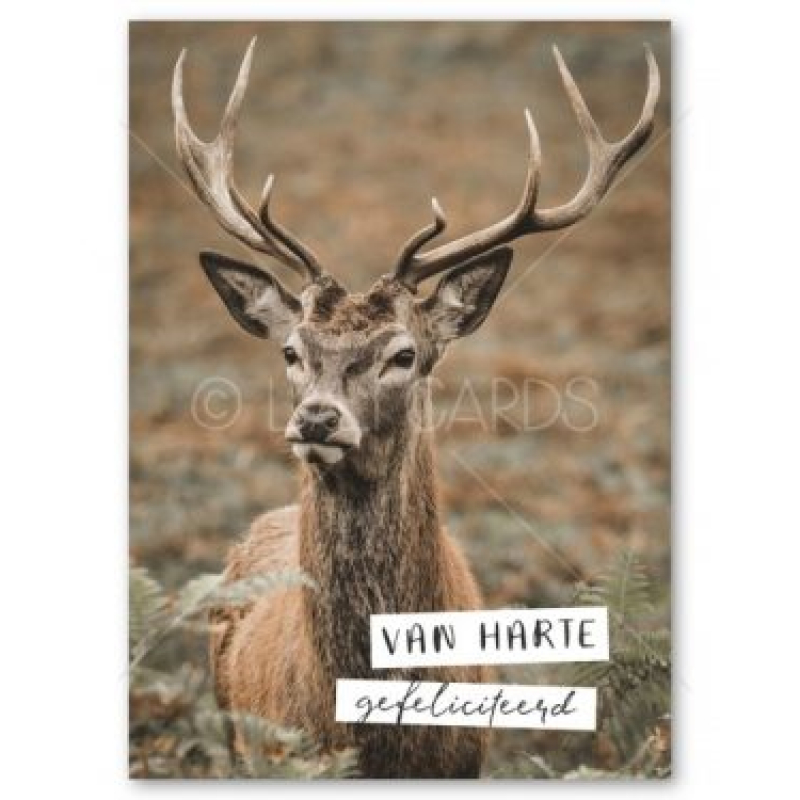 Postkaart | Gefeliciteerd | Hert