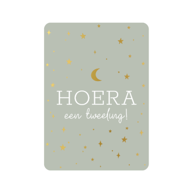 Postkaart | Hoera een tweeling | goudfolie