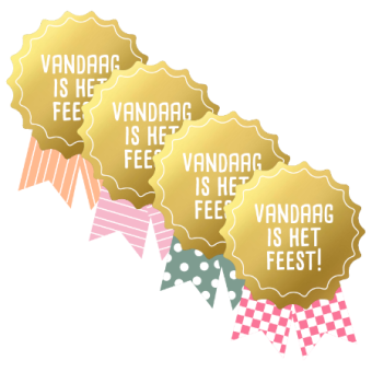 Sluitsticker | Vandaag is het feest | Assorti | 10 stuks