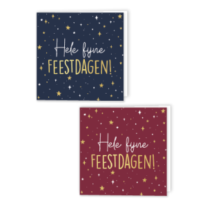 10 luxe wenskaarten | hele fijne feestdagen | 2 ontwerpen en enveloppen