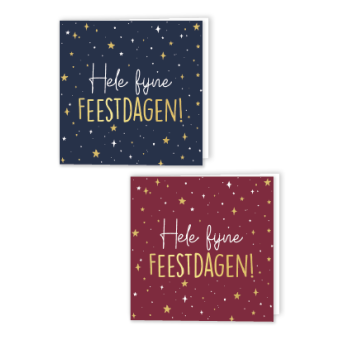 10 luxe wenskaarten | hele fijne feestdagen | 2 ontwerpen en enveloppen