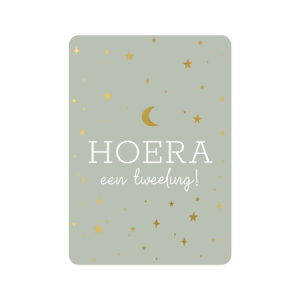 Postkaart | Hoera een tweeling | goudfolie