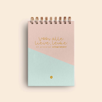 Uitsprakenboekje | roze/mint en goud 