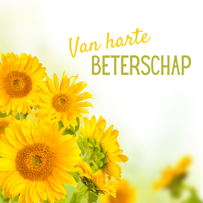Wenskaart | Van harte beterschap | zonnebloemen