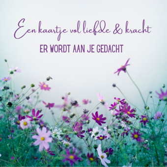 Wenskaart | Liefde en kracht | paarse bloemen