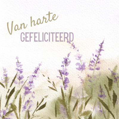 Wenskaart | Van harte gefeliciteerd | aquarel paarse bloemen