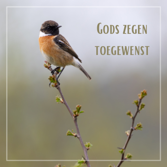 Wenskaart | Gods zegen toegewenst 