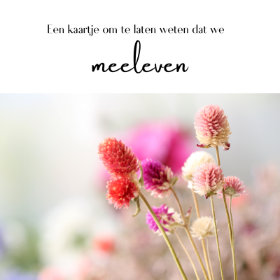 Wenskaart | meeleven | roze droogbloemen