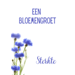 Postkaart | Een bloemengroet | Sterkte