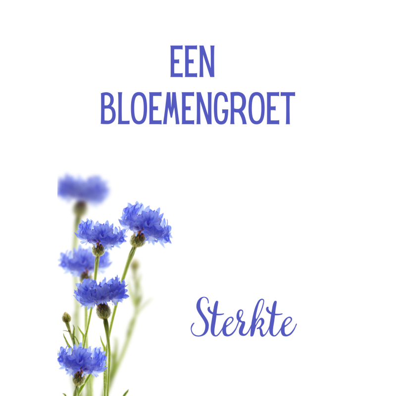 Postkaart | Een bloemengroet | Sterkte