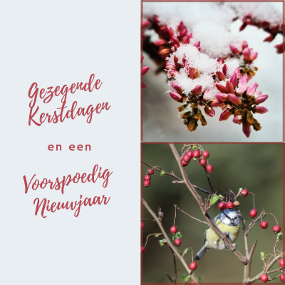 Wenskaart | Gezegende Kerstdagen en een voorspoedig nieuwjaar | collage