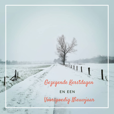 Wenskaart | Gezegende Kerstdagen en een voorspoedig nieuwjaar | sneeuw