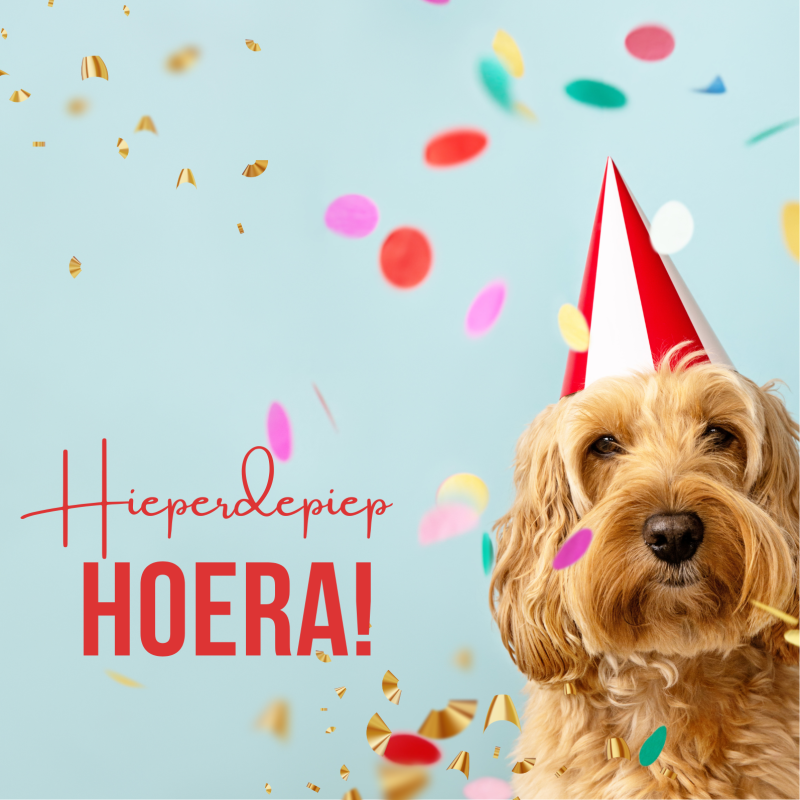 Wenskaart | Hieperdepiep hoera | hond