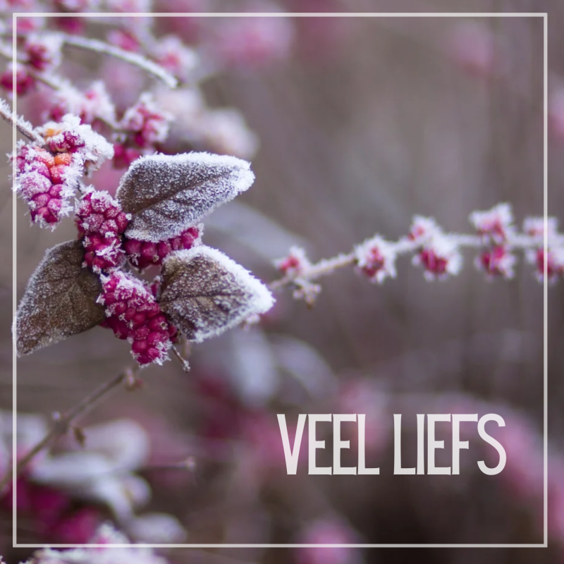 Wenskaart | Veel liefs | Winter