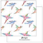 Wenskaart |  Blanco | Vogels kleuren 