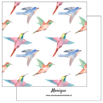 Wenskaart |  Blanco | Vogels kleuren 