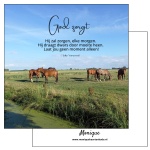 Wenskaart | God zorgt | Paarden in weiland