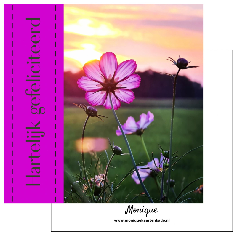 Wenskaart | Hartelijk gefeliciteerd | Veldbloemen 