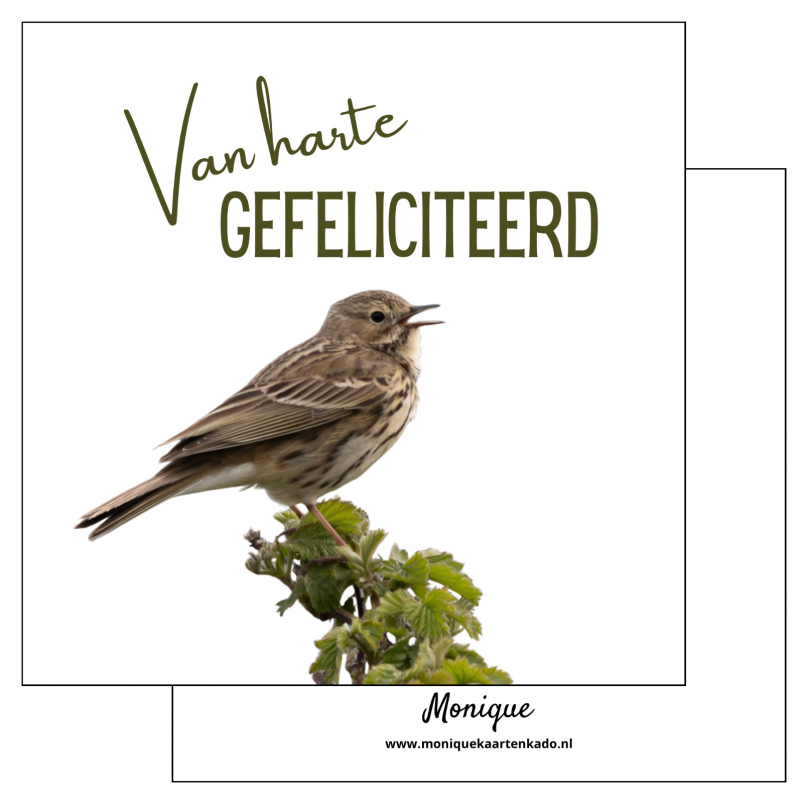 Wenskaart | Van harte gefeliciteerd | Graspieper