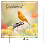Wenskaart | Gefeliciteerd | Vogel