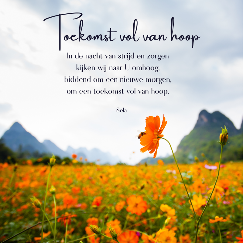 Wenskaart | Toekomst vol van hoop | Tekst van Sela