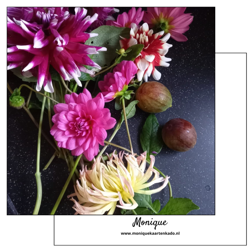 Wenskaart |  Blanco | liggende fleurige bloemen