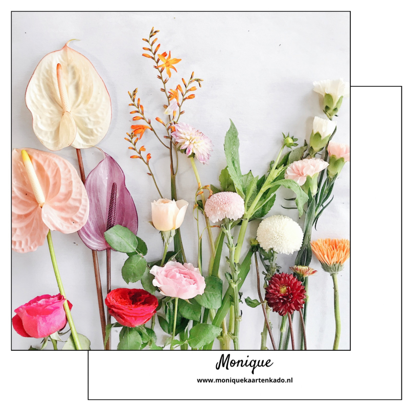 Wenskaart | Bloemen diversen | liggend