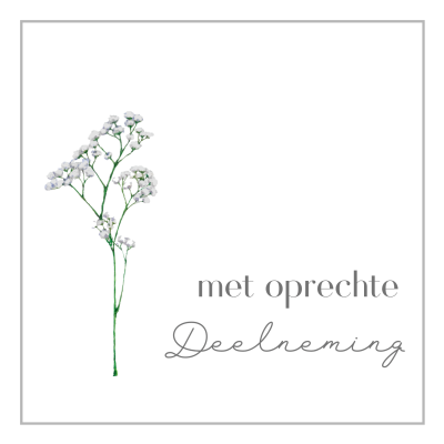 Wenskaart | Met oprechte deelneming | takje