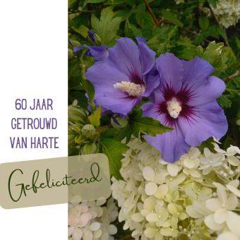Wenskaart | 60 jaar getrouwd | hortensia