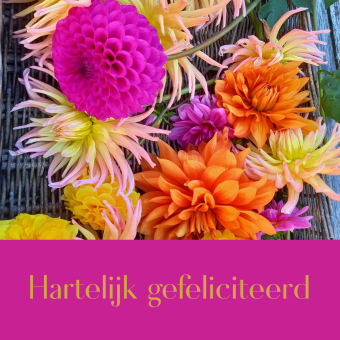 Wenskaart | Hartelijk gefeliciteerd | fleurige bloemen