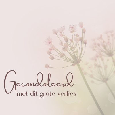 Wenskaart | Gecondoleerd met dit grote verlies | roze takken