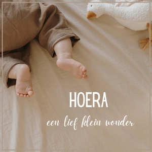 Wenskaart | Hoera een lief klein wonder | knuffel gans/voetjes Wenskaart | Hoera een lief klein wonder | knuffel gans/voetjes
