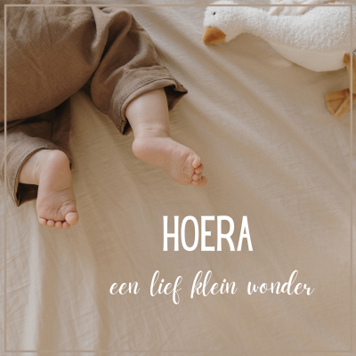 Wenskaart | Hoera een lief klein wonder | knuffel gans/voetjes