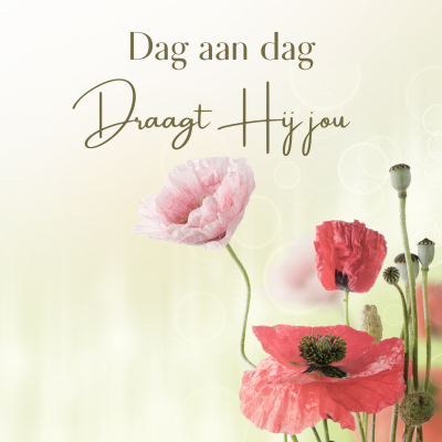 Wenskaart | Dag aan dag draagt Hij jou