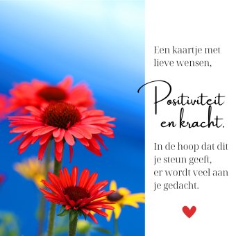 Wenskaart | positiviteit en kracht | rode bloemen