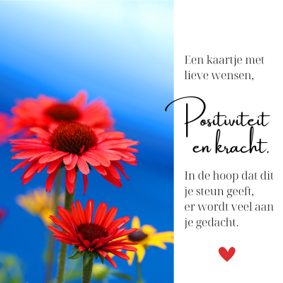 Wenskaart | positiviteit en kracht | rode bloemen