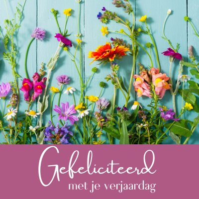 Wenskaart | Gefeliciteerd met je verjaardag | bloemen liggend