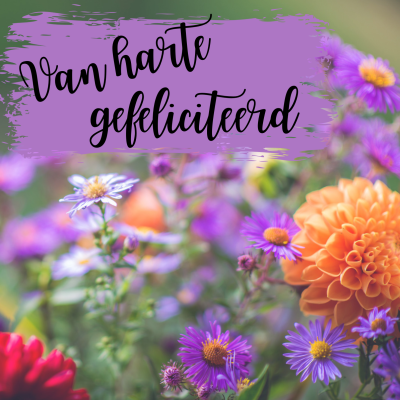 Wenskaart | Gefeliciteerd | Fleurige bloemen