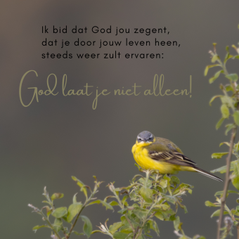 Wenskaart | Ik bid dat God jou zegent