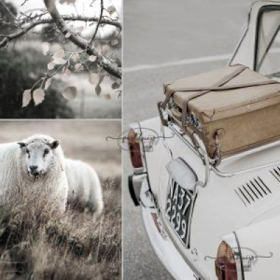 Fotokaart | Blanco | 20 | Collage wit schaap mini auto 