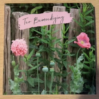 Fotokaart | Bemoediging | Roze bloemen
