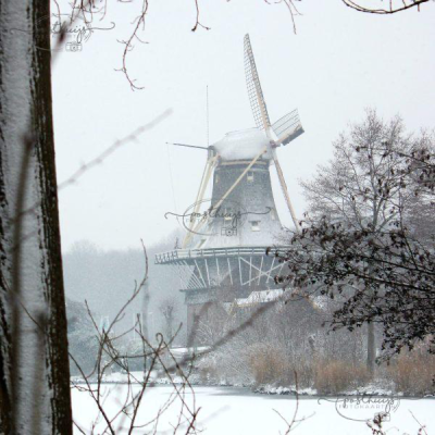 Fotokaart | Blanco winter | molen