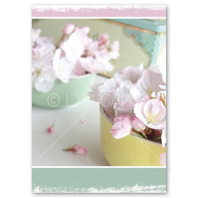 Wenskaart | Brocante bloesem