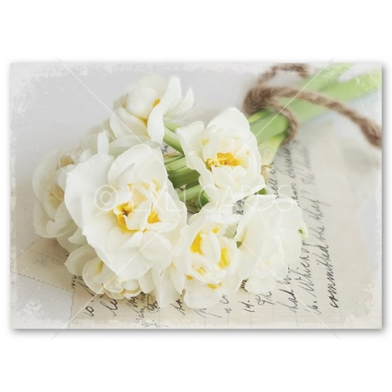 Wenskaart | Narcissen