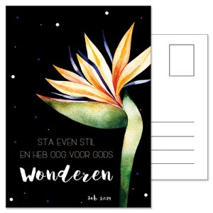 Ansichtkaart | Sta even stil