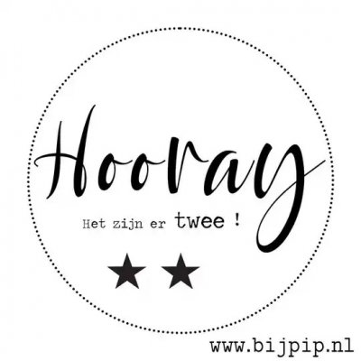 Geboorte | Tweeling | Hooray