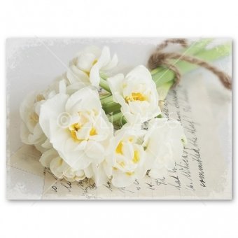 Wenskaart | Narcissen