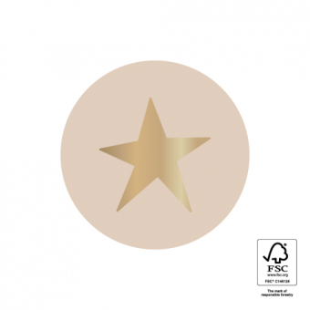 Sluitsticker | Lila - ster goud | 10 stuks
